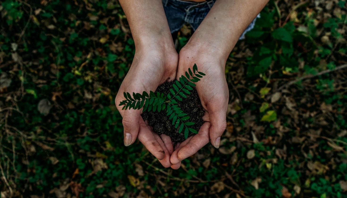 Top Tips for an Eco-Friendly Lifestyle